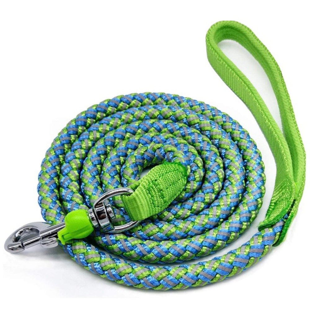 Blue/Green 6 Ft Dog Leash - EUC